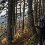 Ścieżka zielonego szlaku do Białego Jeziora (słow. Veľké Biele pleso)