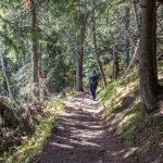 Ścieżka zielonego szlaku do Białego Jeziora (słow. Veľké Biele pleso)