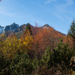 Sciezka zielonego szlaku powyżej Rakuskiej Polany