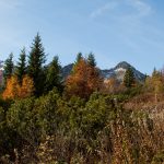 Sciezka zielonego szlaku powyżej Rakuskiej Polany
