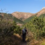 Sciezka zielonego szlaku powyżej Rakuskiej Polany