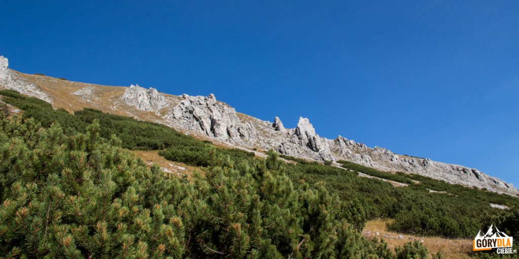 Formacje skalne na zboczach Bielańskiej Kopy (1835 m)