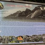 Tablica ścieżki edukacyjnej w Dolinie Zadnich Koperszadów