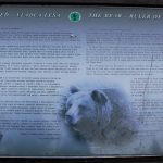 Tablica ścieżki edukacyjnej w Dolinie Zadnich Koperszadów