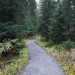 Scieżka niebieskiego szlaku prowadzi teraz dnem Doliniy Zadnich Koperszadów