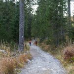 Scieżka niebieskiego szlaku powyżej Gałajdówki (lub Polana pod Muraniem)