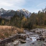 Potok Javorinka w Dolinie Jaworowej