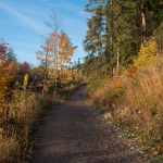 Droga zielonego szlaku (i niebieskiego) na Szumny Pramen