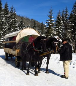 Zimowy spacer do Morskiego Oka, zdj. Maurka