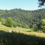 Widoki z niebieskiego szlaku z Kosarzysk na Niemcową