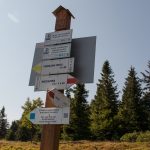 Drogowskazy na szczycie Niemcowej (1001 m)
