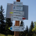 Drogowskazy na szczycie Niemcowej (1001 m)