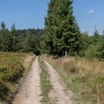 Polany na szczycie Niemcowej