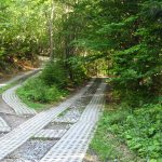 Trasa niebieskiego szlaku na Niemcową biegnie częściowo drogą jezdną i trasą rowerową