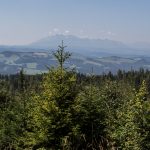 Widoki z drogi zejścia z Wielkiego Rogacza na Przełęcz Obidza