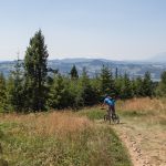 Droga zejścia z Wielkiego Rogacza na Przełęcz Obidza