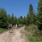 Droga zejścia z Wielkiego Rogacza na Przełęcz Obidza