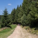 Polany przy Przełęczy Obidza