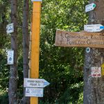 Przełęcz Gromadzka oznaczona na drogowskazach jako Obidza