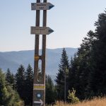 Niebieski szlak łączy się z żółtym z Piwnicznej na Niemcową