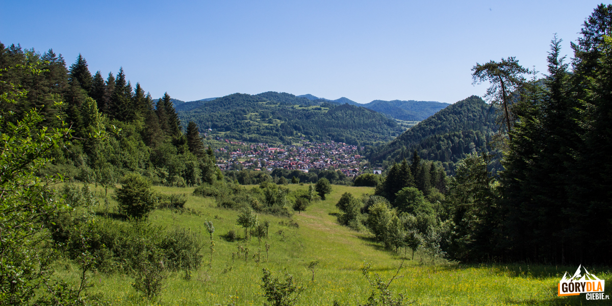 Panorama Szczawnicy z podejścia niebieskim szlakiem na Sokolicę