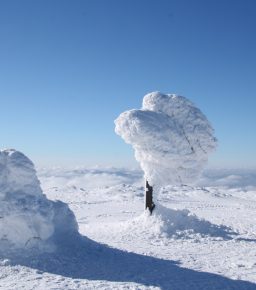 Fantazyjne śnieżne rzeźby na Górze Pięciu Kopców pod Pilskiem