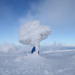 Fantazyjne śnieżne rzeźby na Górze Pięciu Kopców pod Pilskiem
