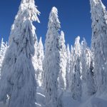 Zejście z Pilska na Halę Cebulową