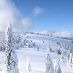 Na szlaku koło Palenicy