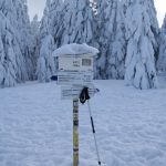 Palenica (BRTS) - znaki słowackie