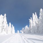 Na szlaku z Palenicy na Rysiankę