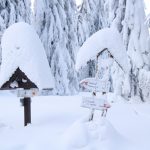 Trzy Kopce w drodze z Palenicy na Rysiankę