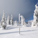 Na szlaku z Palenicy na Rysiankę