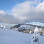 Zejście z Rysianki do Sopotni, na lewo od zejścia Romanka