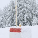 Drogowskazy szlaków na Palenicy (BRTS)