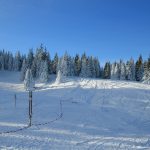 Drogowskazy szlaków na Hali Miziowej