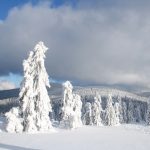 Na szlaku z Palenicy na Rysiankę