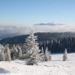 Widok z Hali Jodłowcowej na Babią Górę