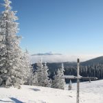 Widok z Hali Jodłowcowej na Babią Górę