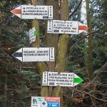 Drogowskazy szlaków przy Zajezdzie nad Przełęczą Kocierską
