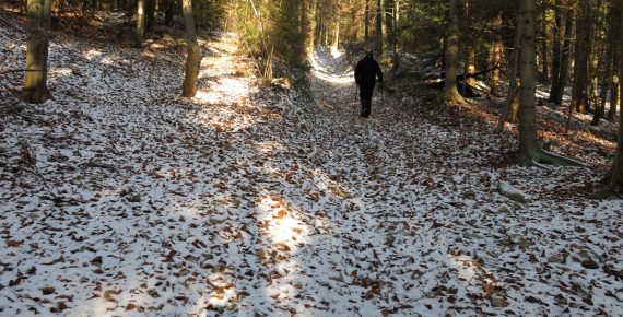 Śnieżnica zimą, zdj. Maurka