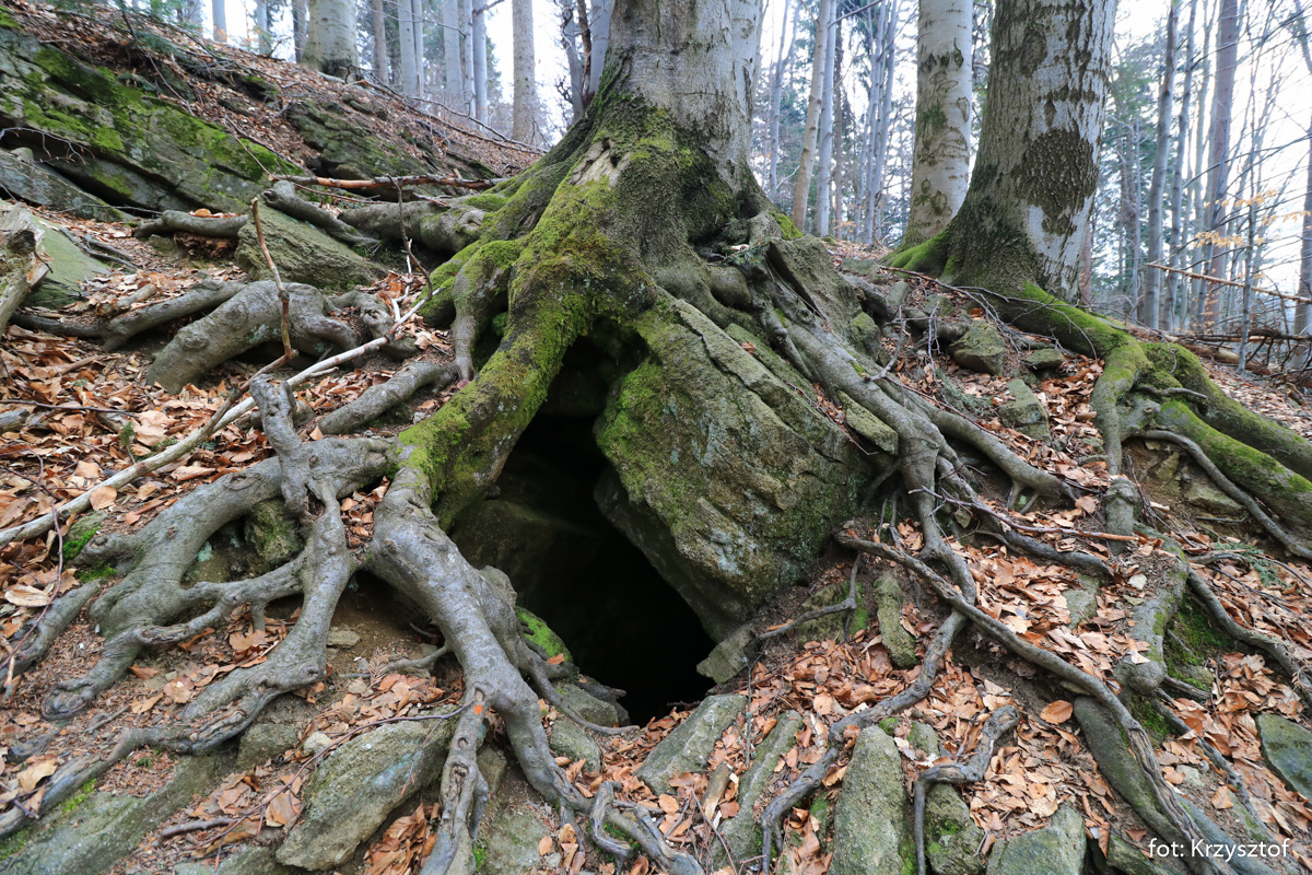 Jaskinia "Dziura pod Bukiem"