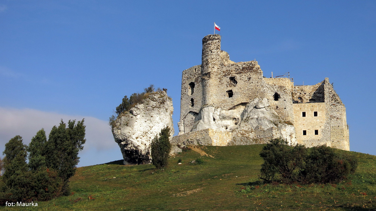 Zamek w Mirowie, zdj. Maurka