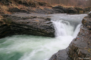 Rzeka Wieprzówka zdj. Krzysztof Rozowski