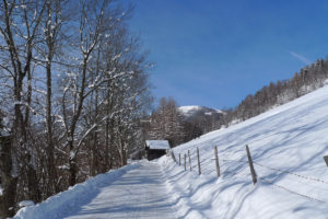 Winterwandern Panoramaweg © BRM - Gerhard Ortner