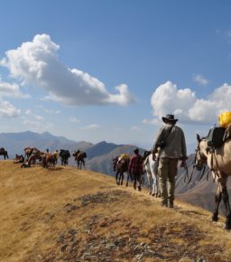 W cieniu Jedwabnego Szlaku