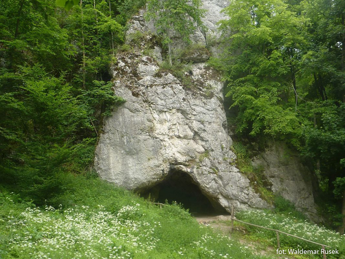 OPN Jaskinia Krowia