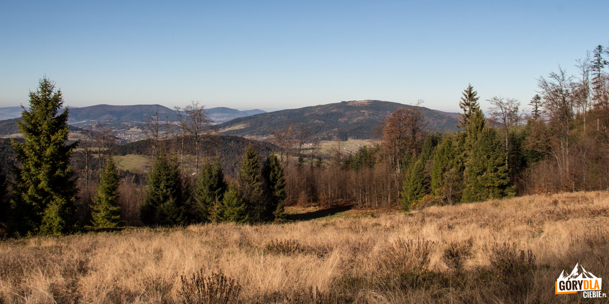 Widok z polany Francula na Lubogoszcz, Lubomir i Cwilin