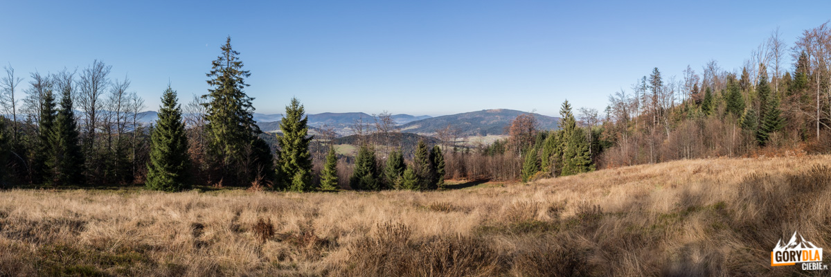 Panorama z polany Francula