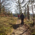 Wejście zielonym szlakiem na Halę Kamińskiego